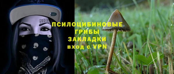 твердый Нефтегорск