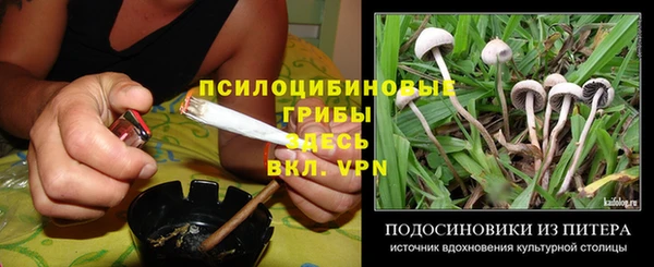 таблы Алзамай